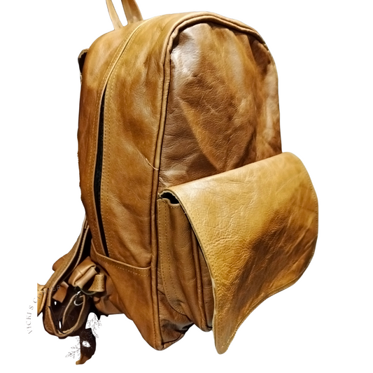 Back packs (Large)